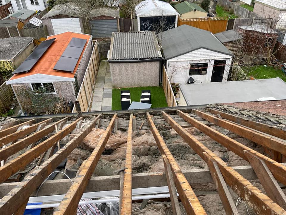 Moss removal in Wimbledon