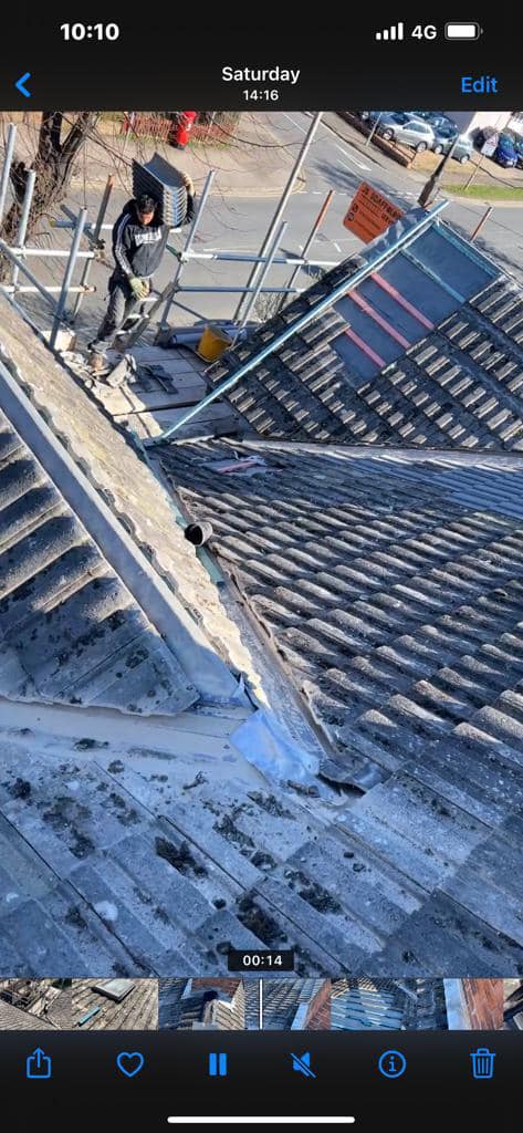 Moss removal in Wimbledon