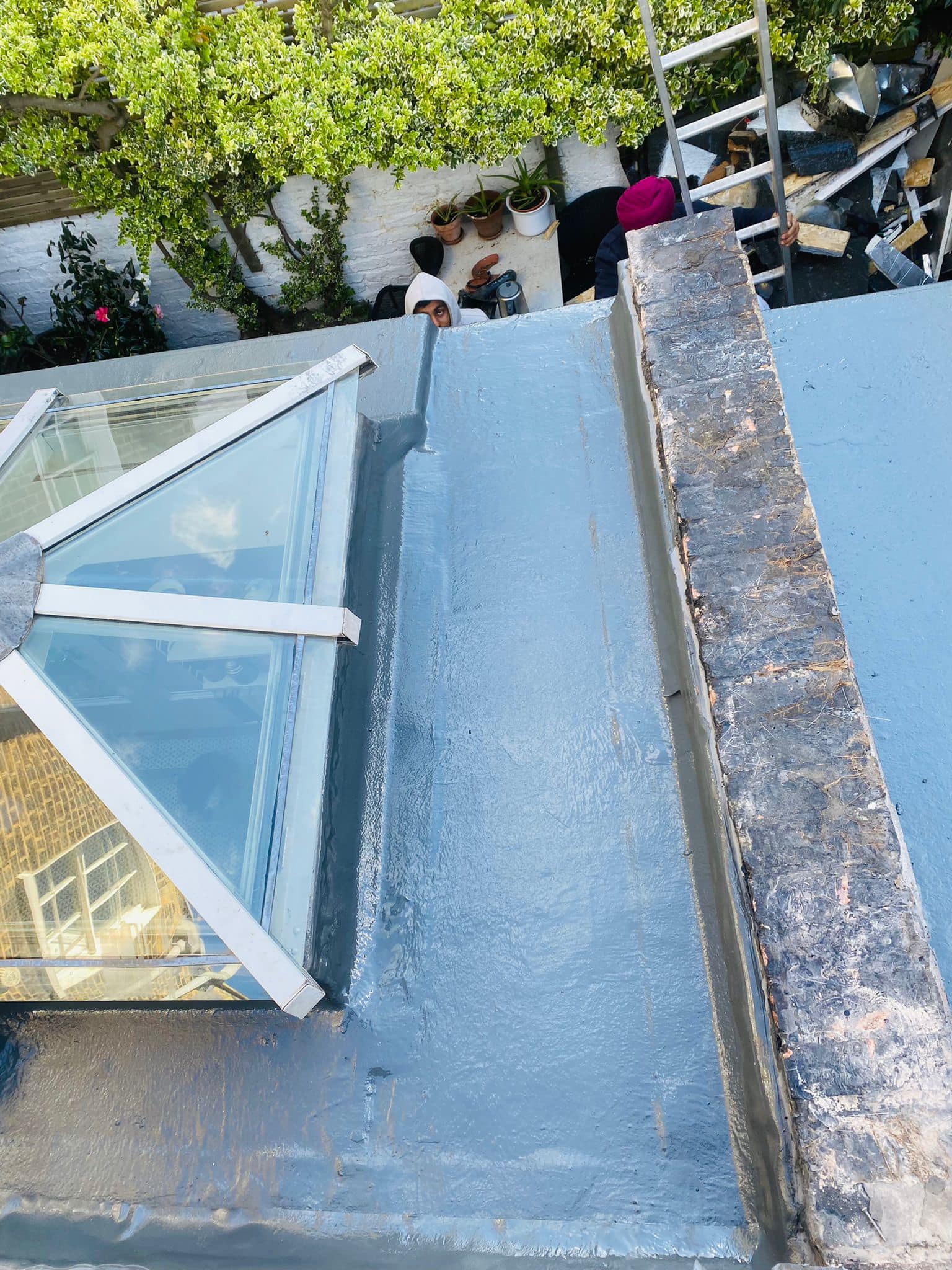 Moss removal in Wimbledon