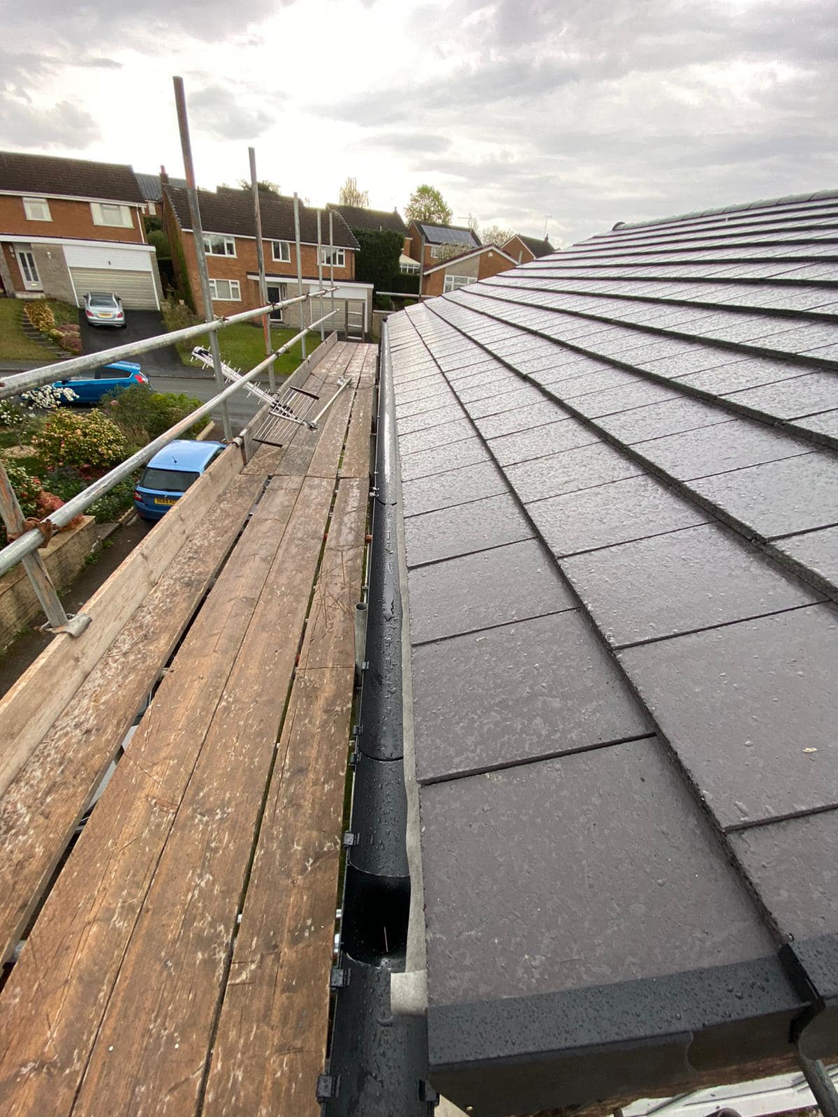 Moss removal in Wimbledon