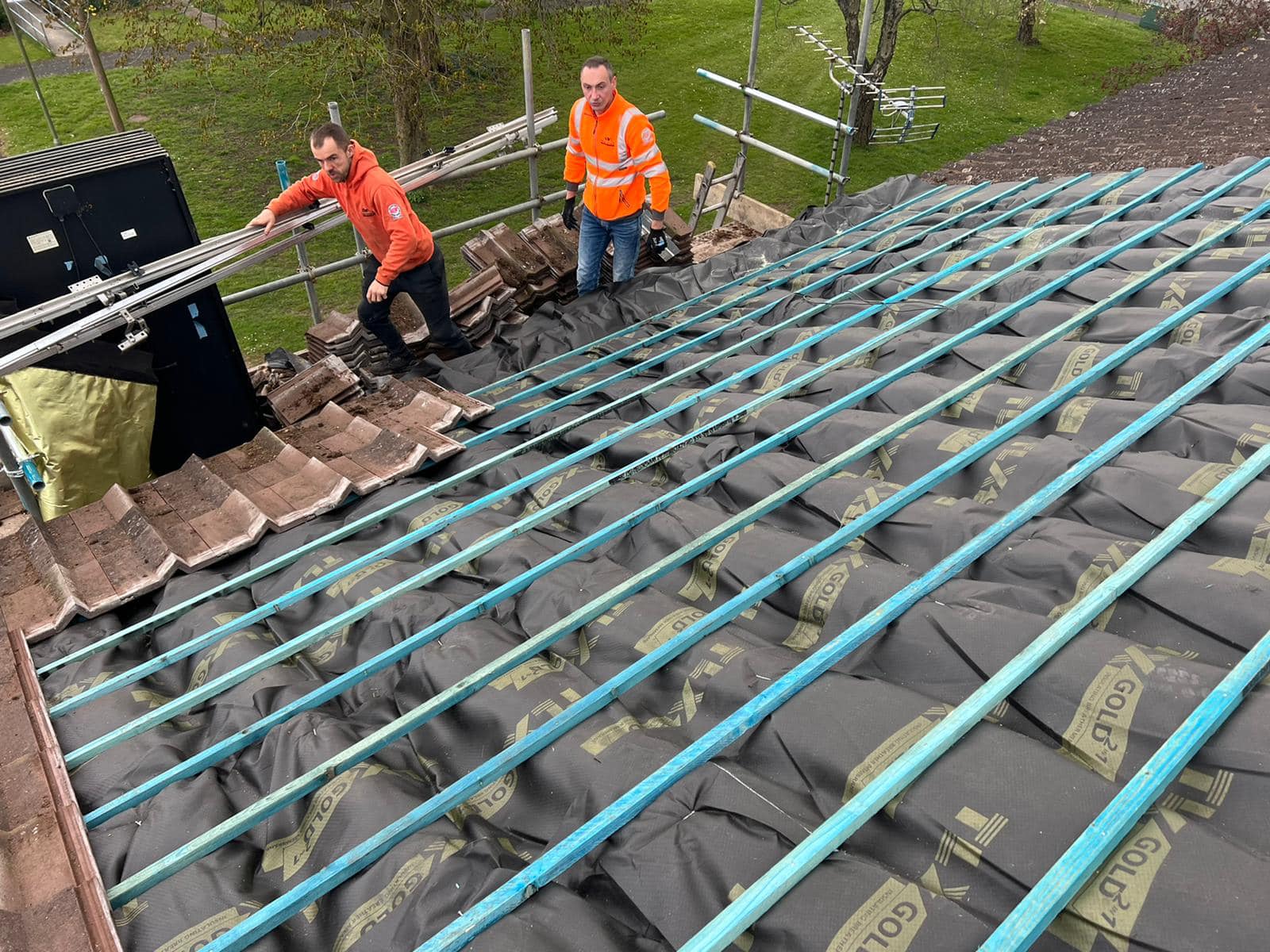 Moss removal in Wimbledon