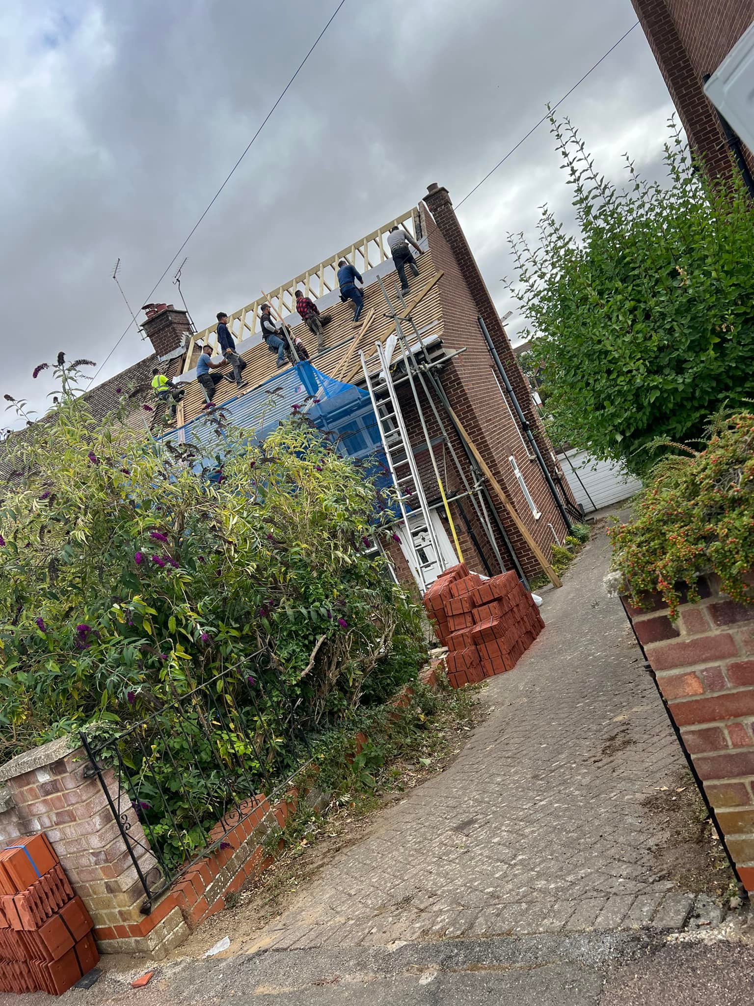 Roof survey in Kensington