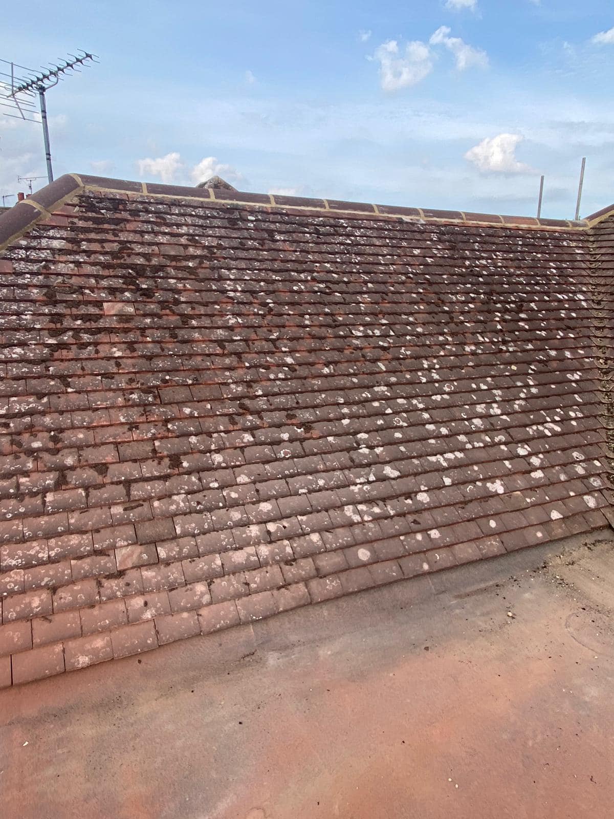 Storm damage repair in Battersea