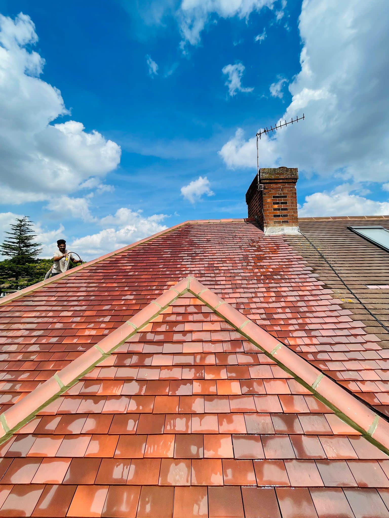 Roof waterproofing in Clapham