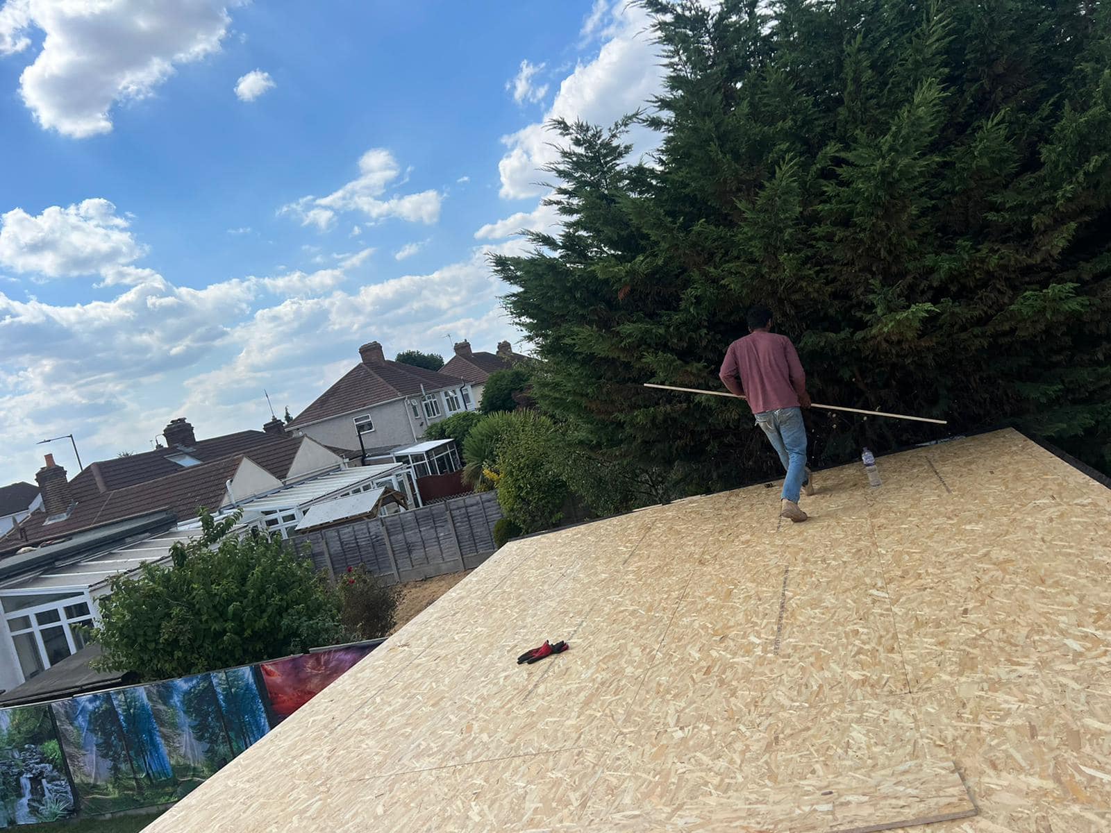 Moss removal in Wimbledon