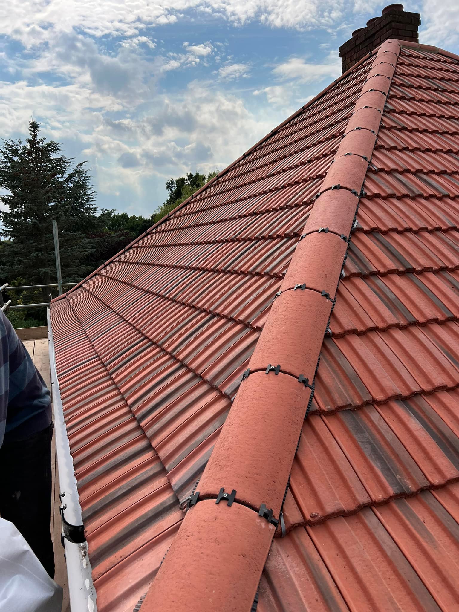 Moss removal in Wimbledon