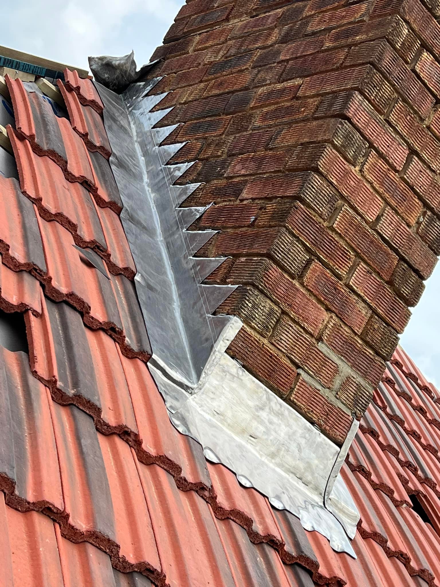Moss removal in Wimbledon