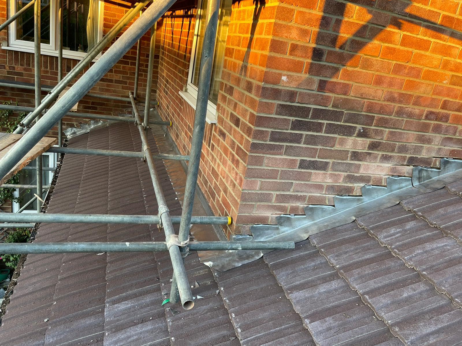 Moss removal in Wimbledon