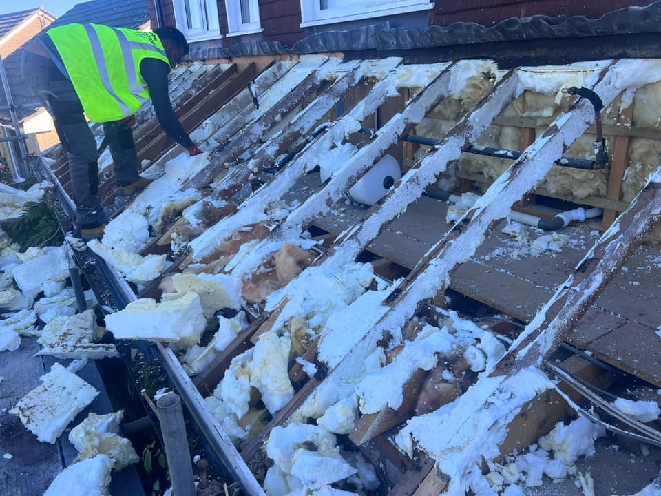 Moss removal in Wimbledon