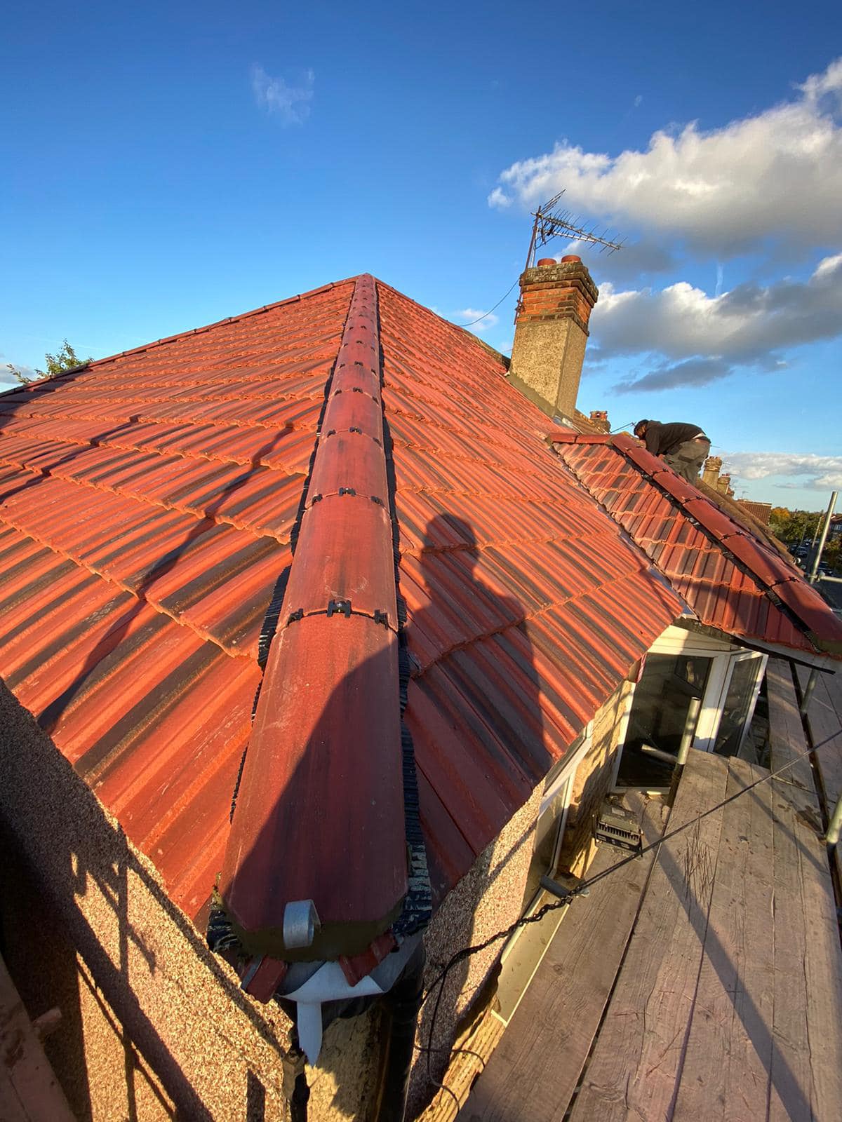 Moss removal in Wimbledon