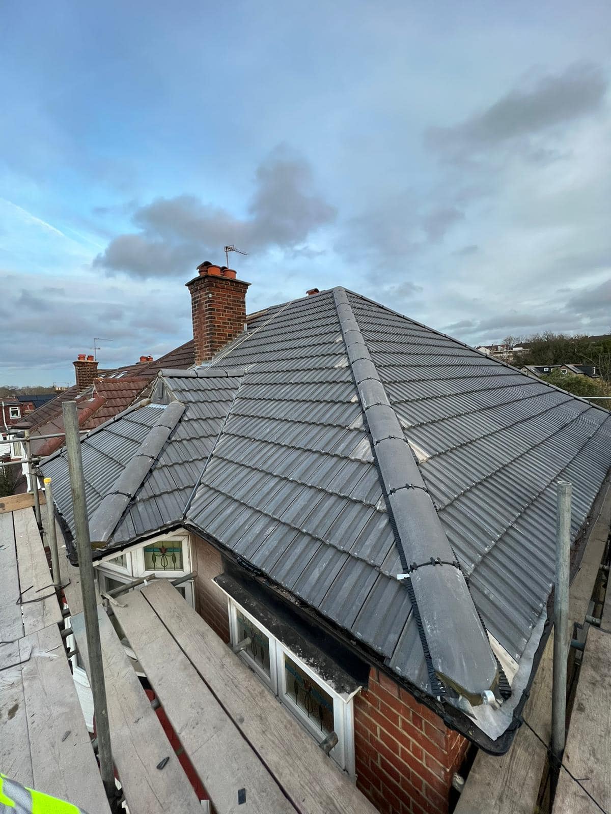 Moss removal in Wimbledon