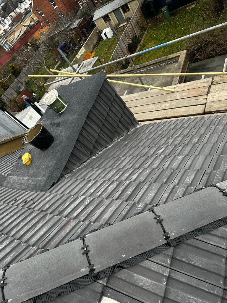 Moss removal in Wimbledon