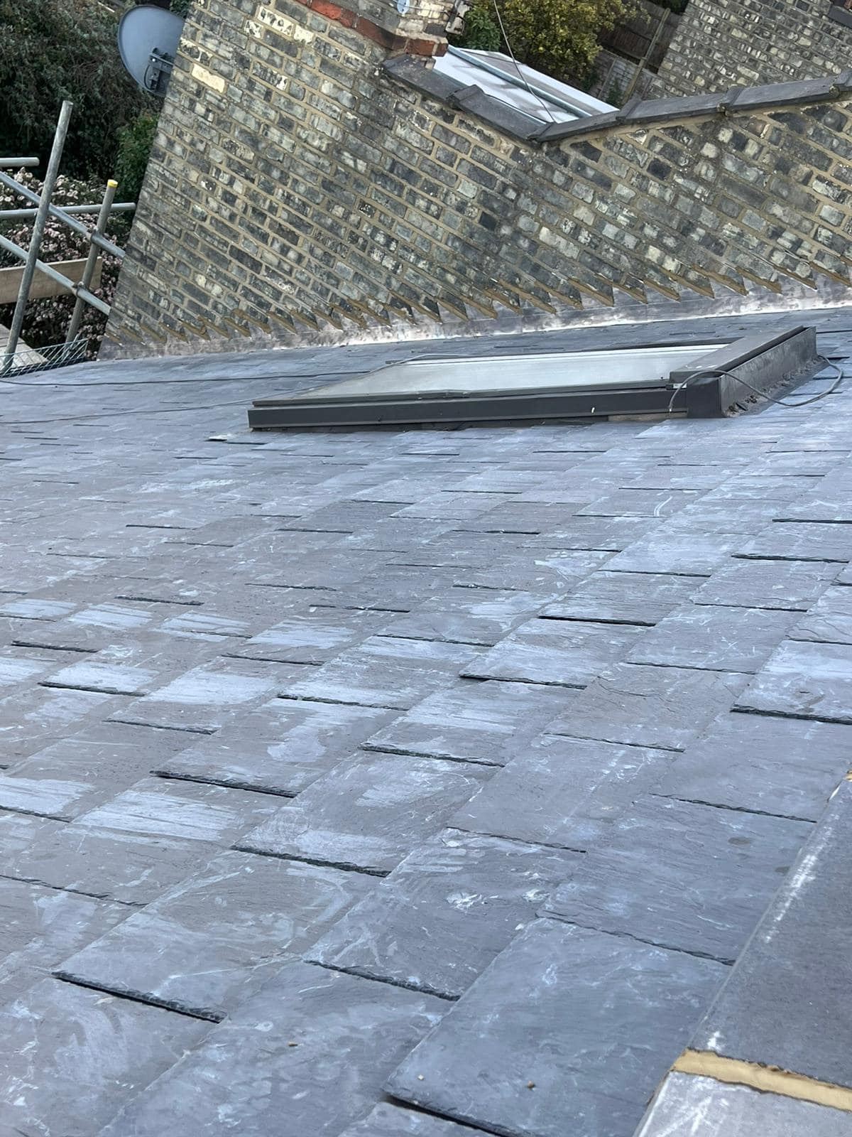 Moss removal in Wimbledon