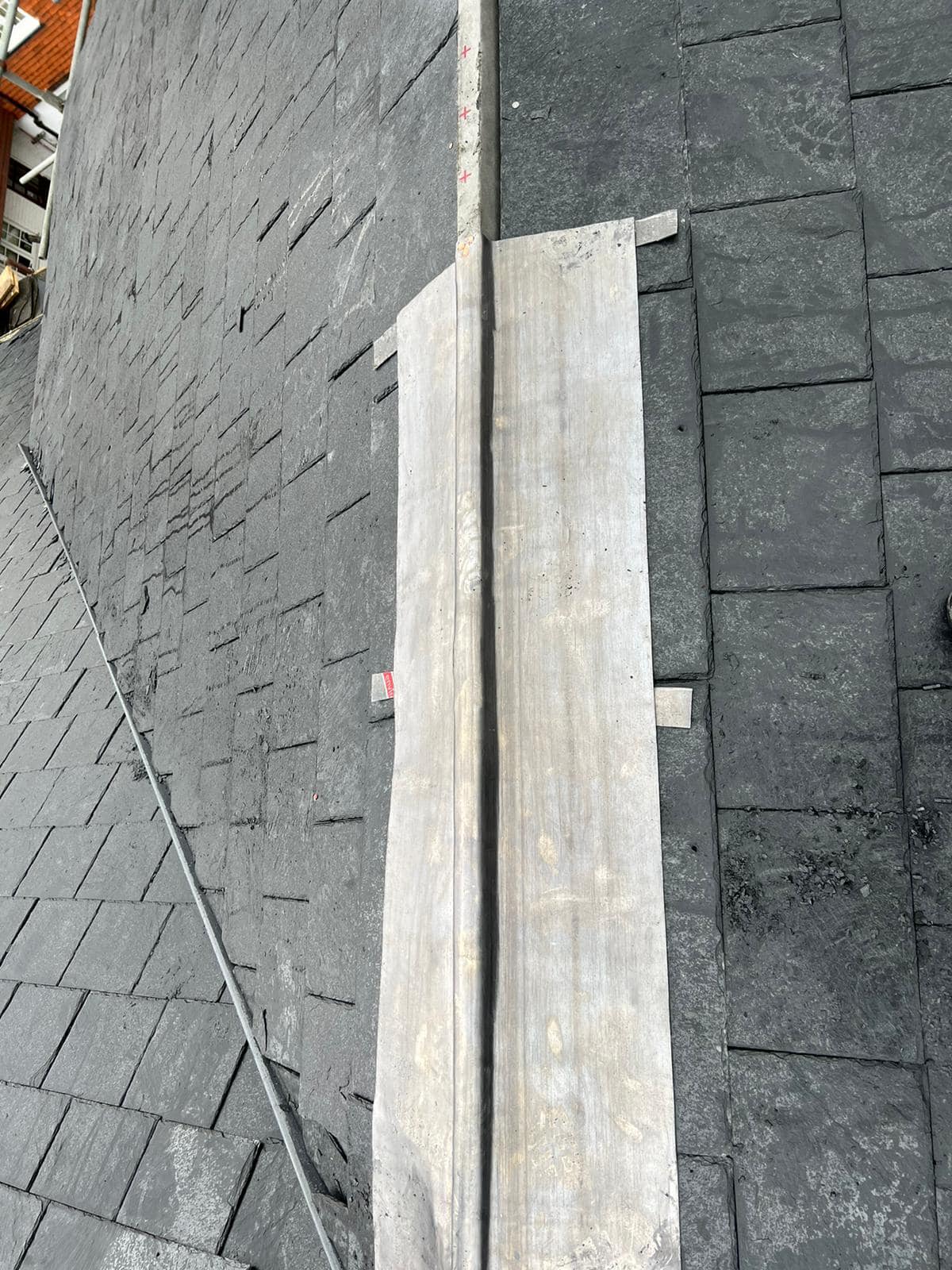 Roof survey in Kensington