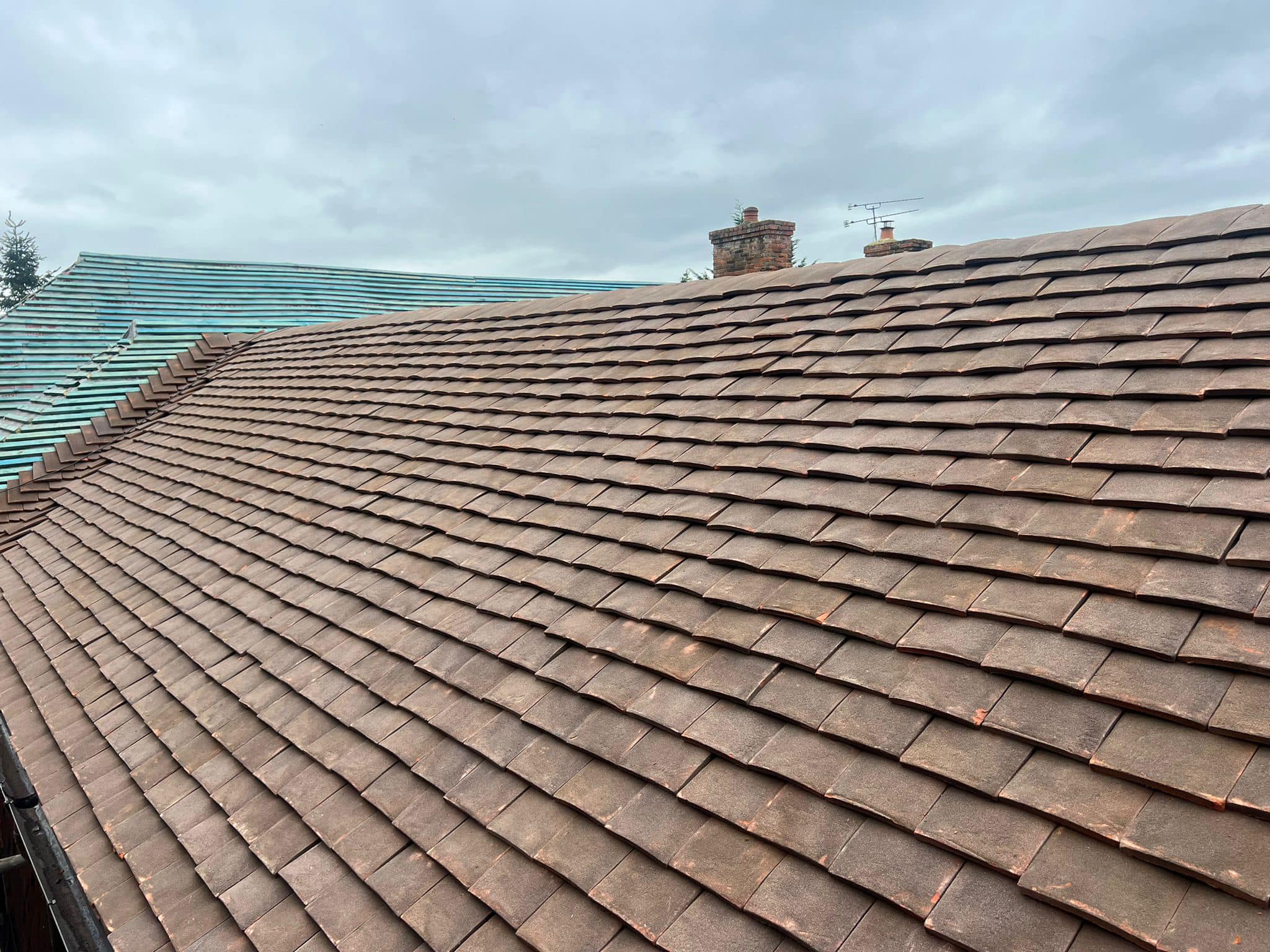 Roof survey in Kensington