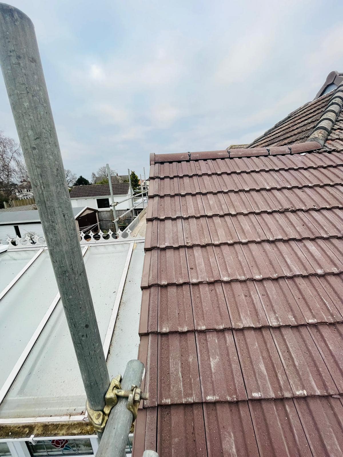 Moss removal in Wimbledon
