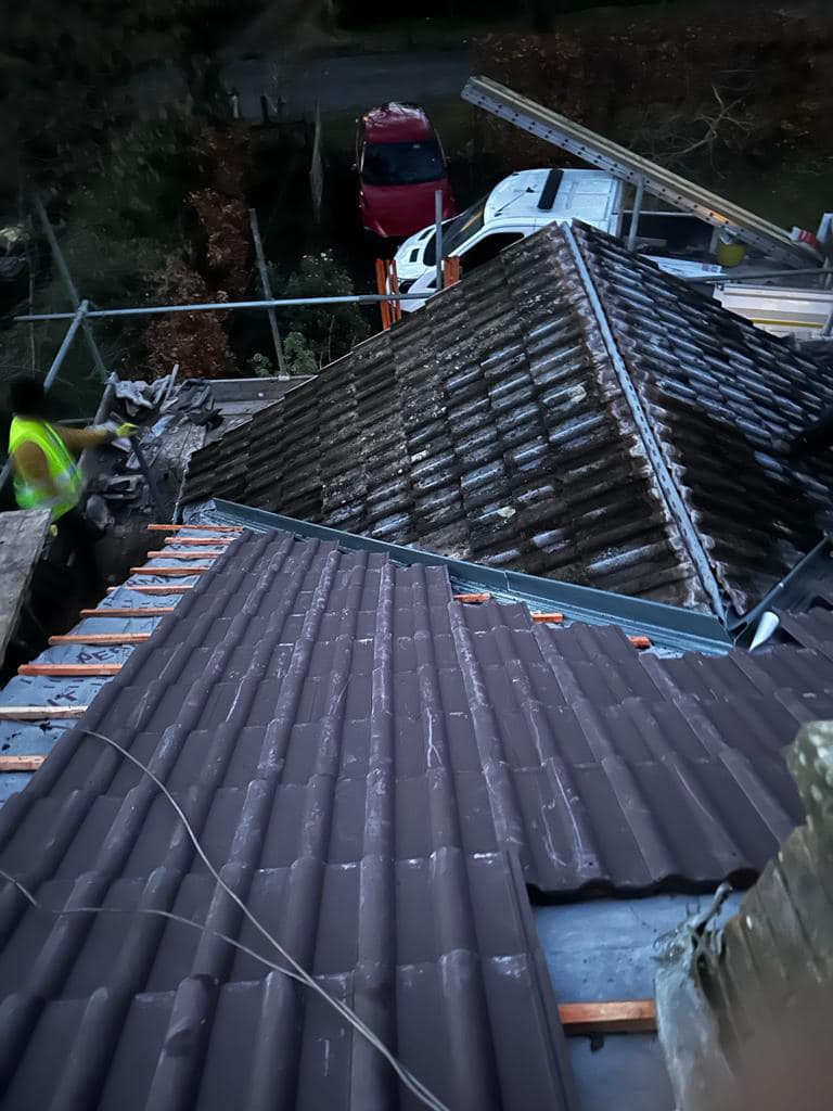 Roof survey in Kensington