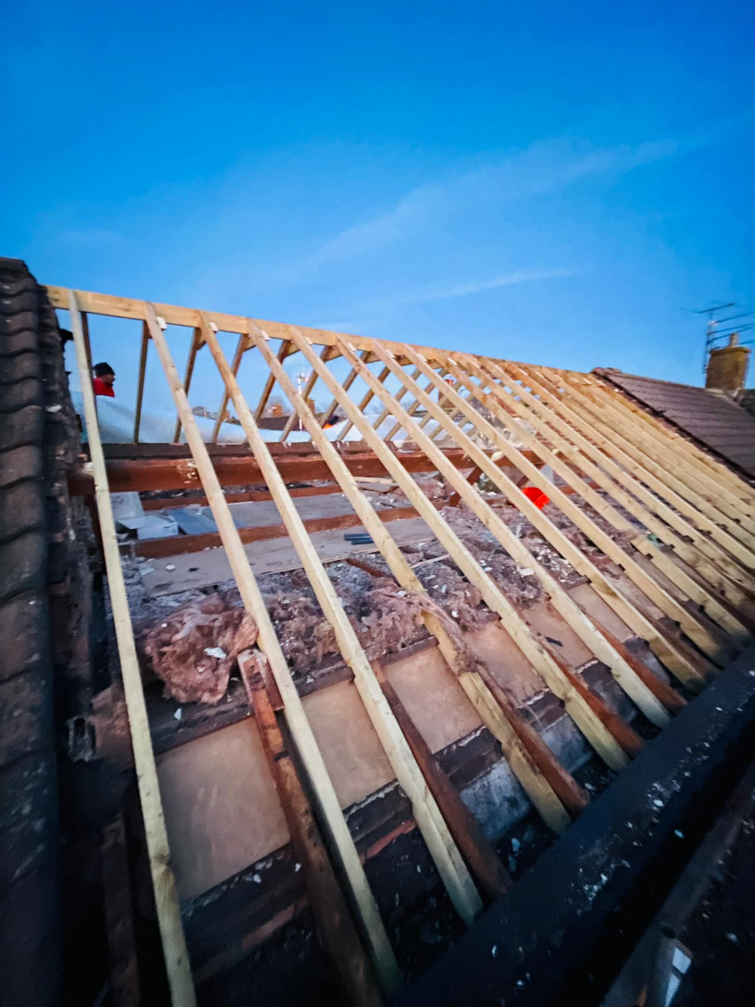 Roof survey in Kensington