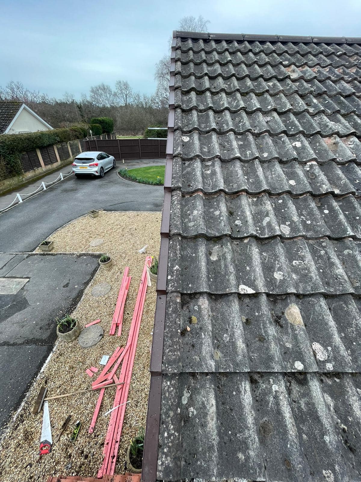 Moss removal in Wimbledon