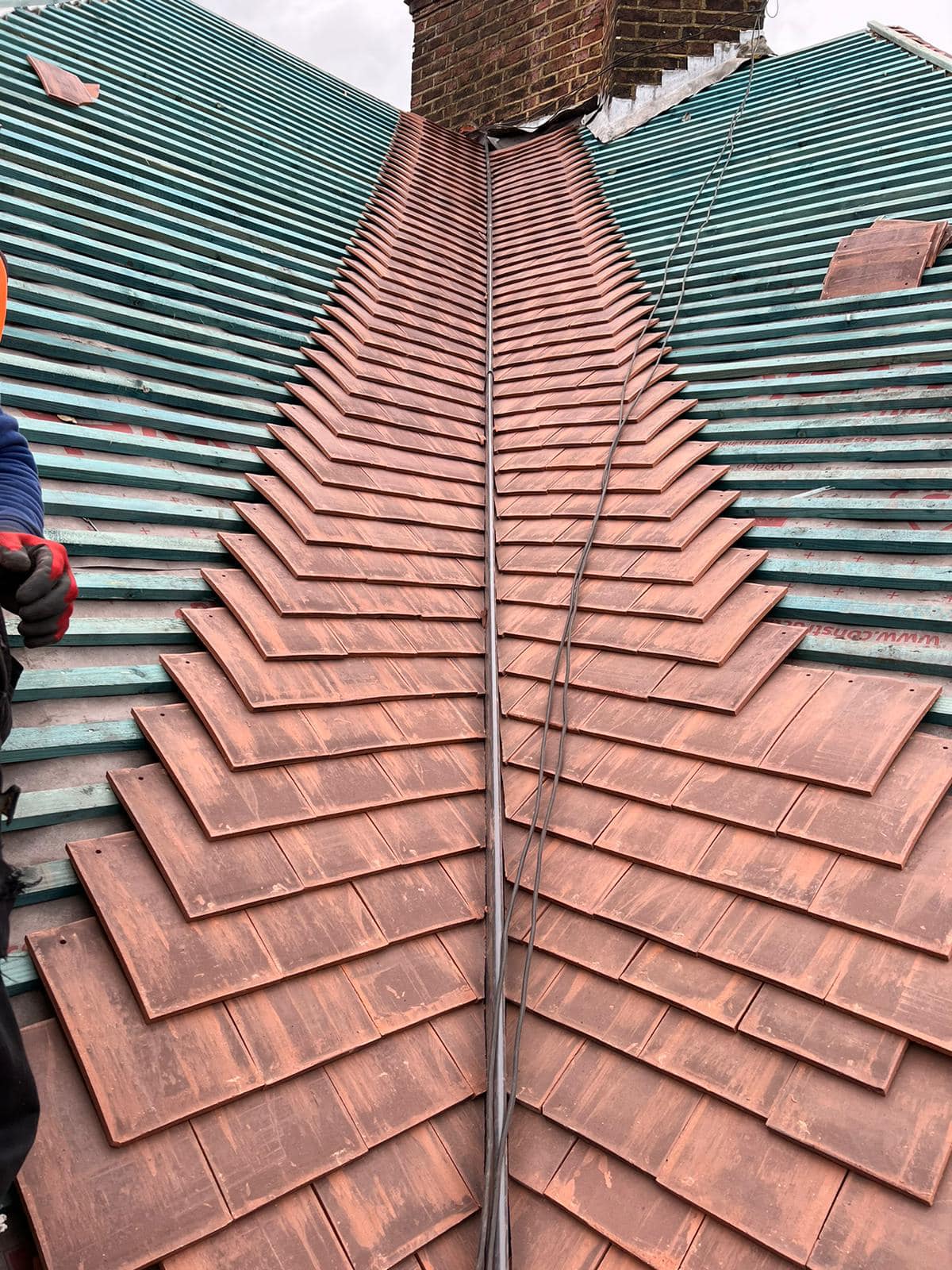 Moss removal in Wimbledon