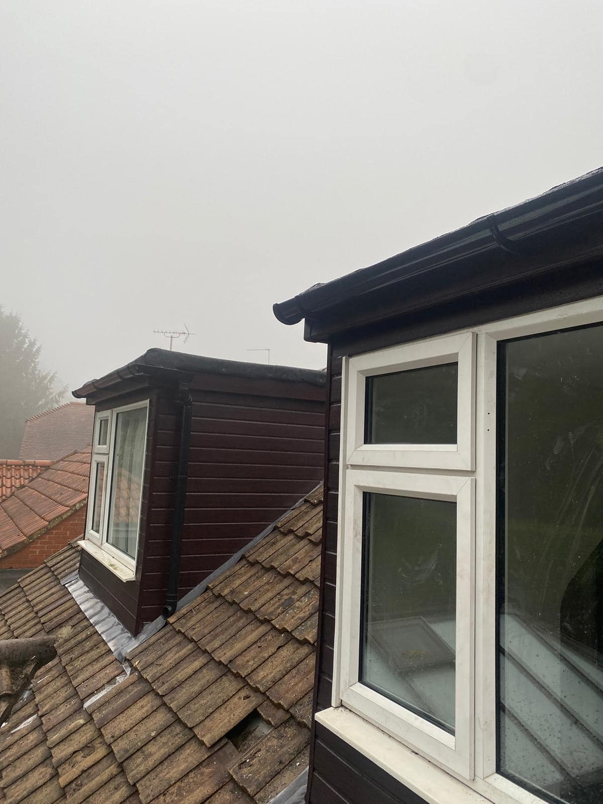 Roof survey in Kensington