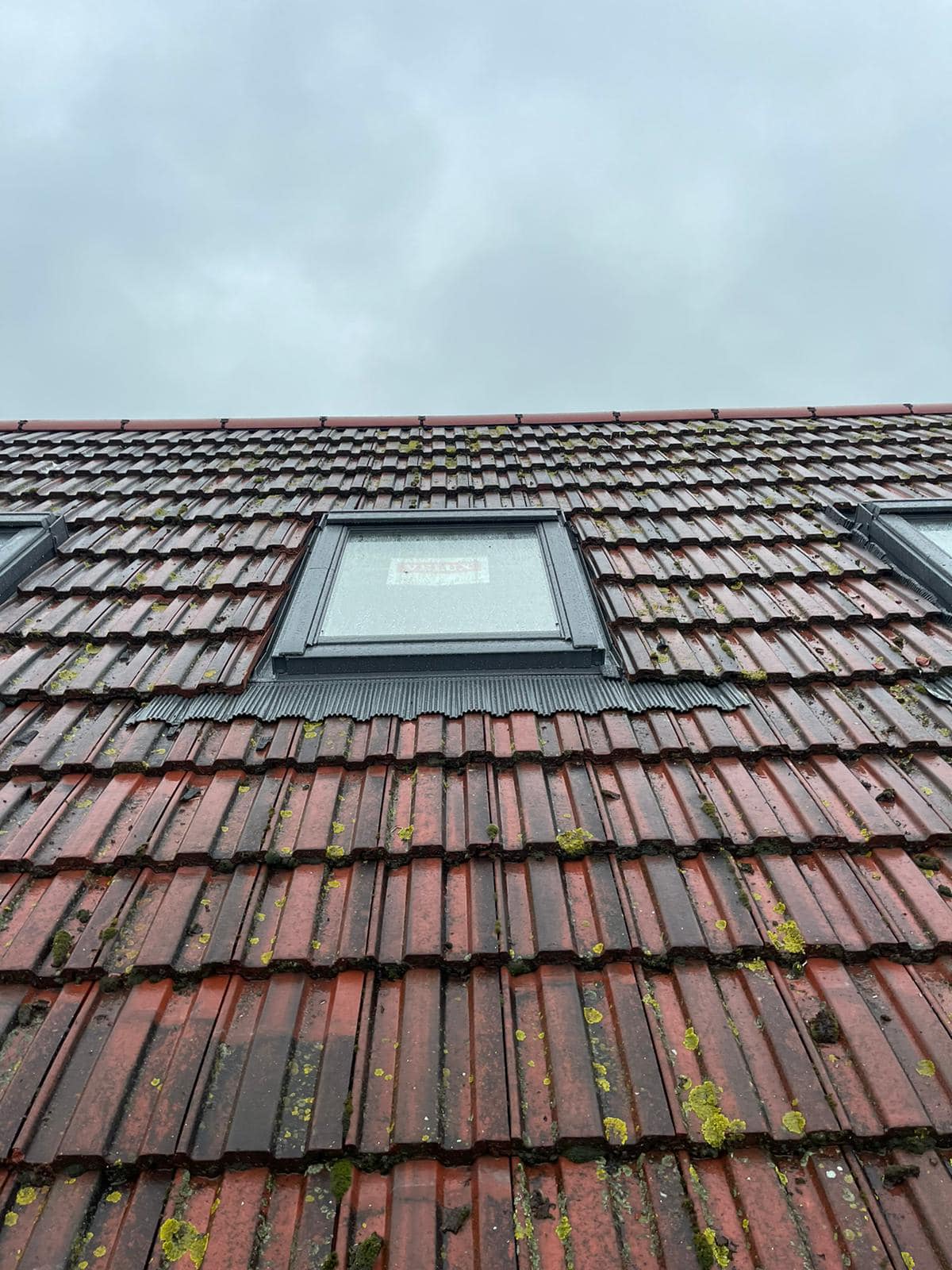 Roof waterproofing in Clapham