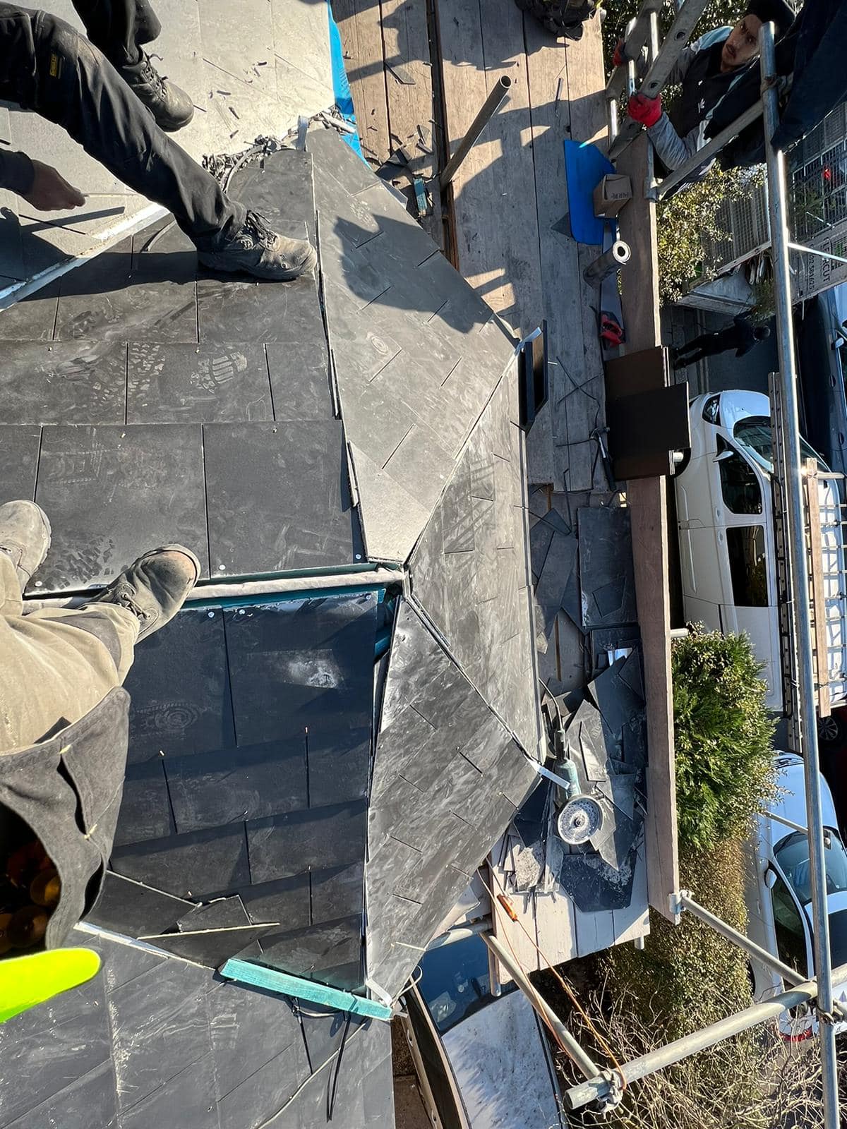 Moss removal in Wimbledon