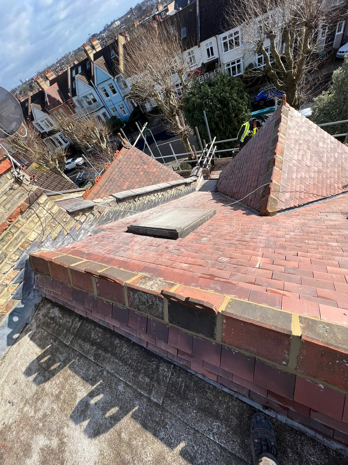 Moss removal in Wimbledon