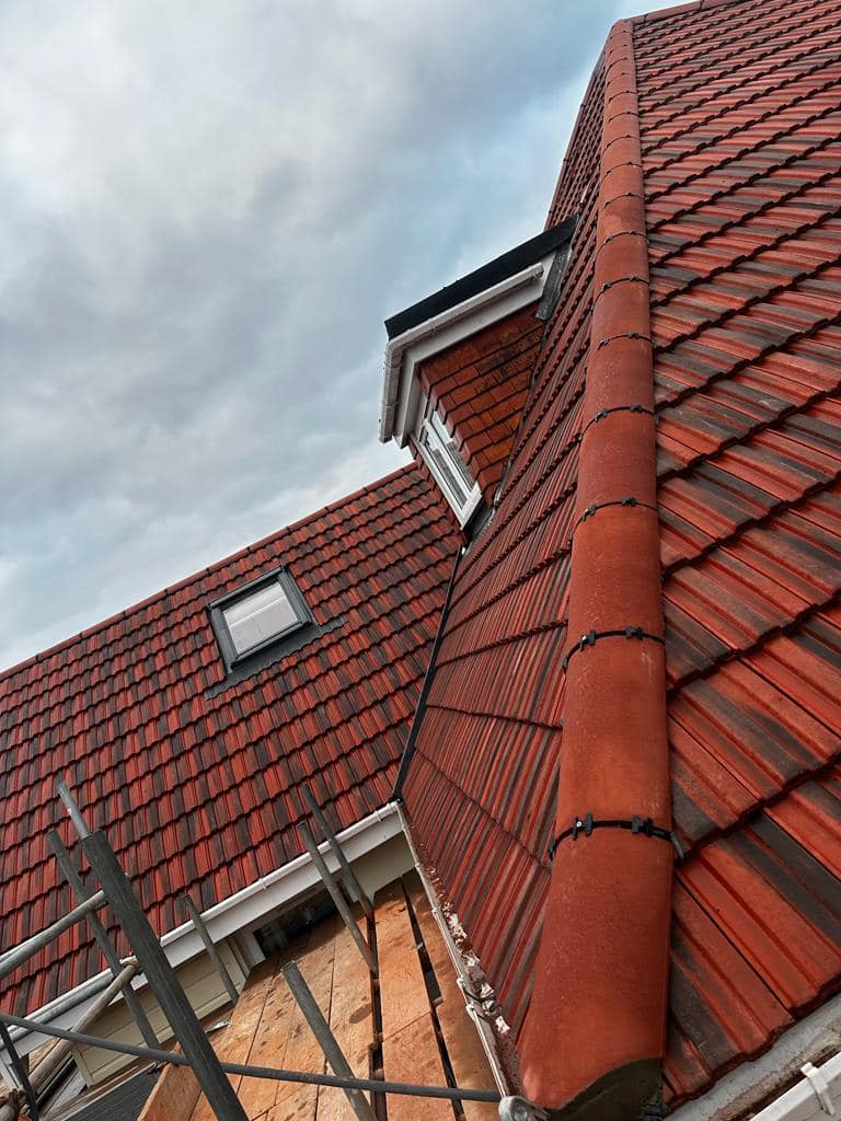 Moss removal in Wimbledon