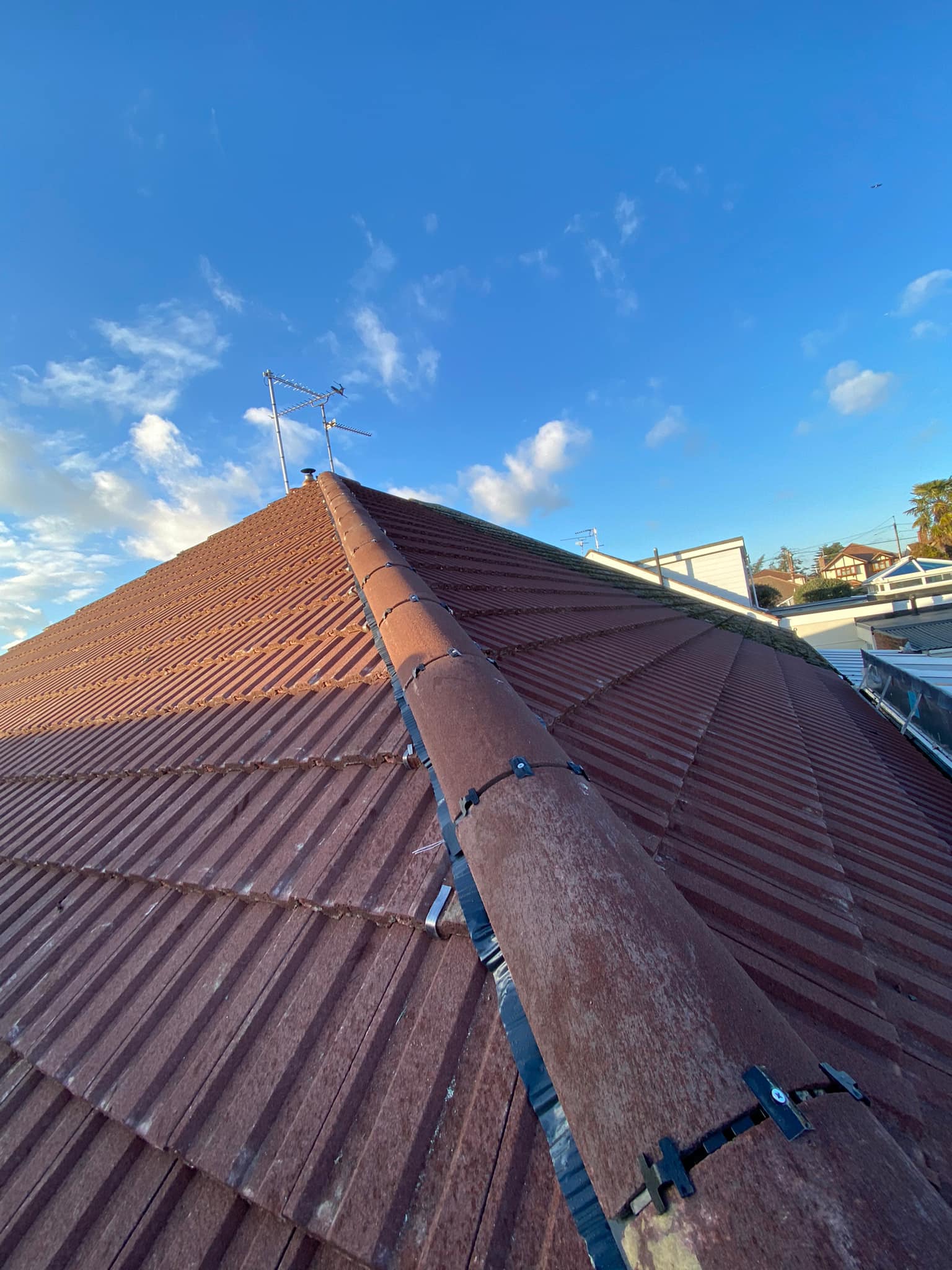 Storm damage repair in Battersea