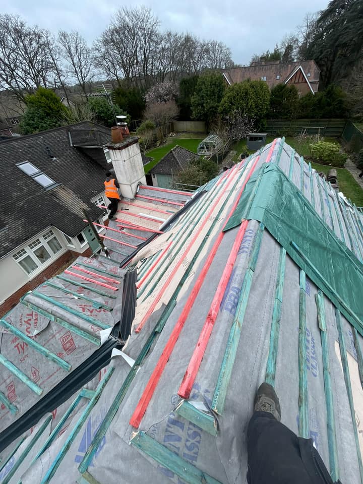 Moss removal in Wimbledon