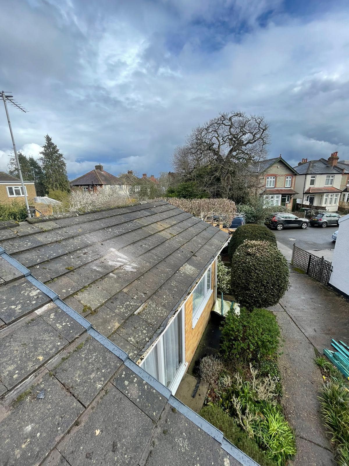 Moss removal in Wimbledon