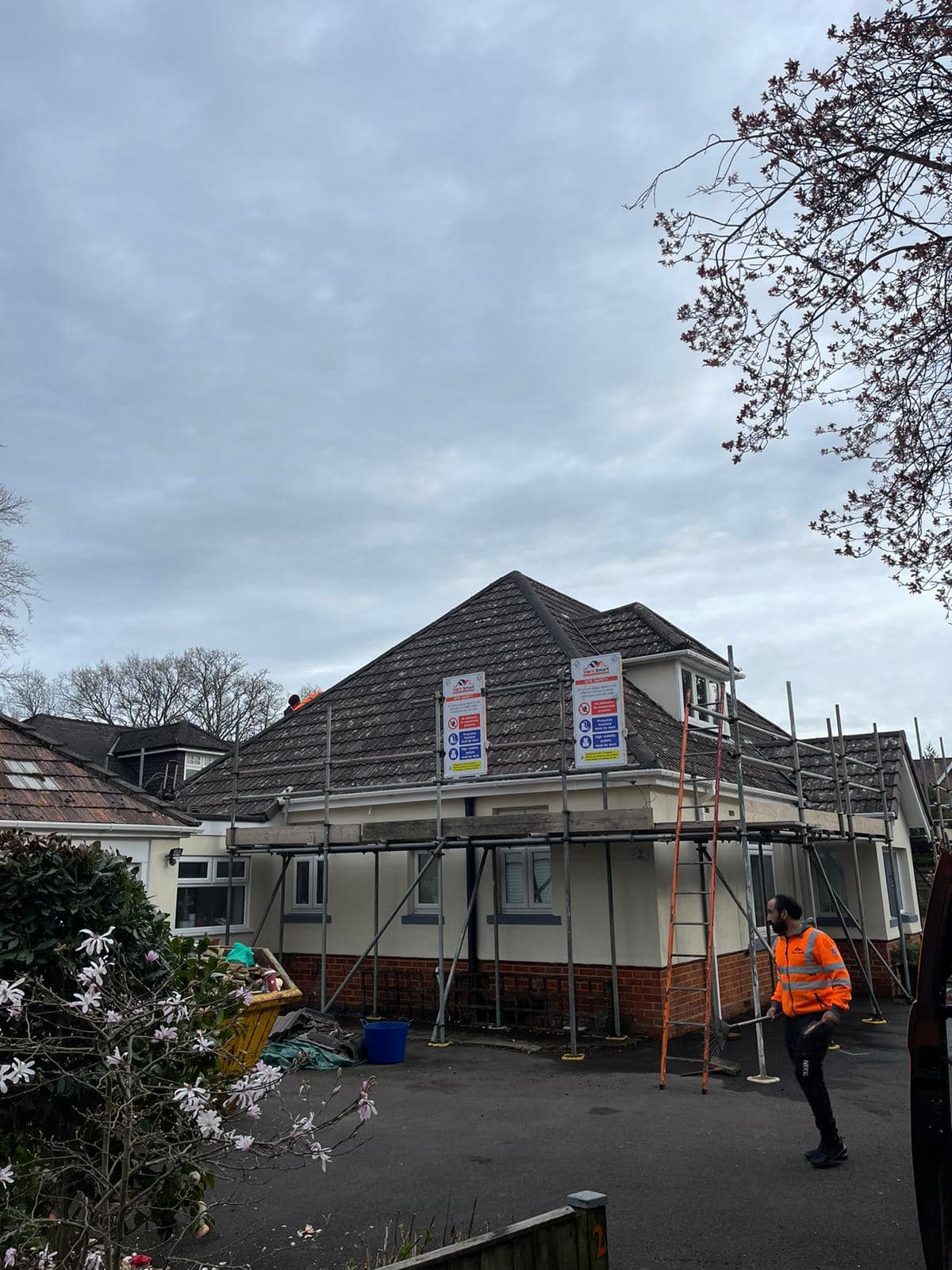 Moss removal in Wimbledon