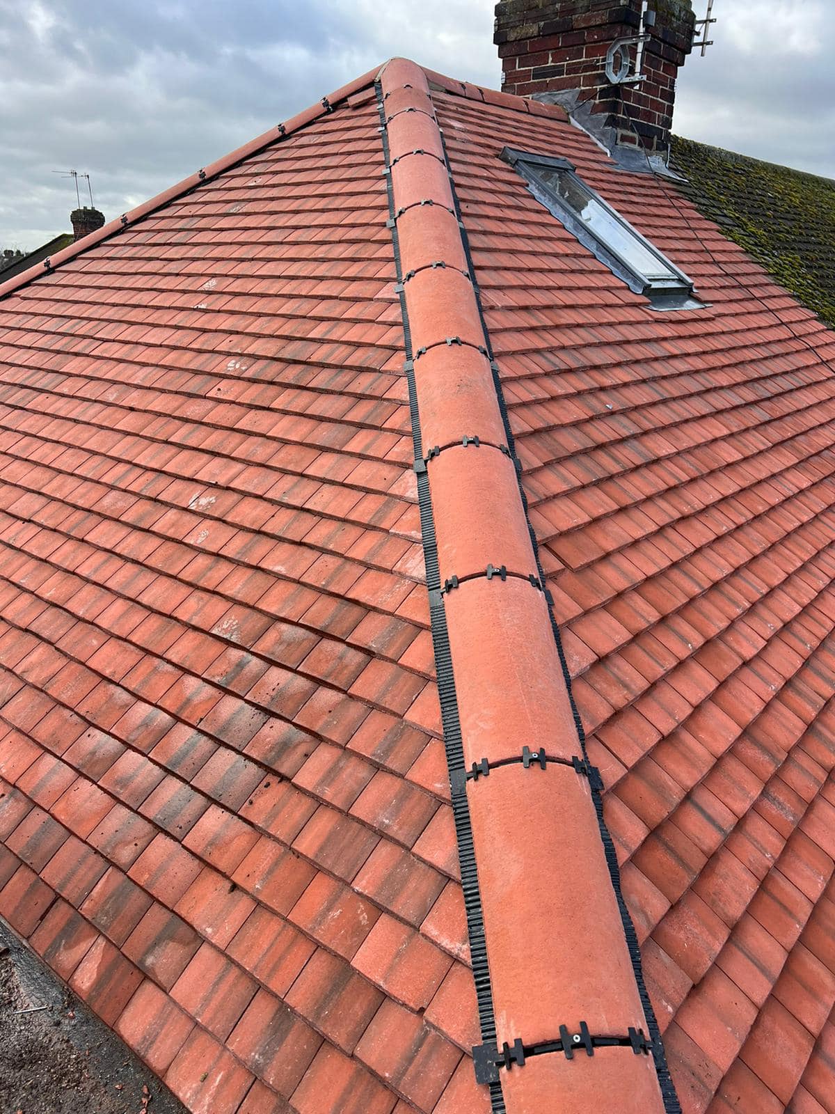 Moss removal in Wimbledon