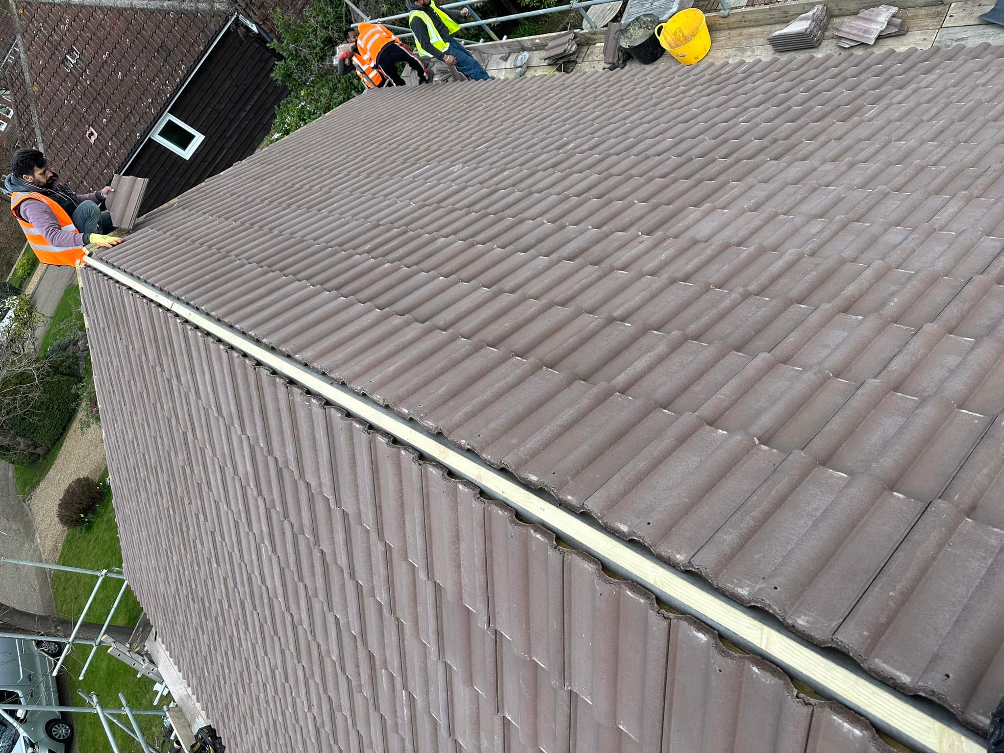 Moss removal in Wimbledon