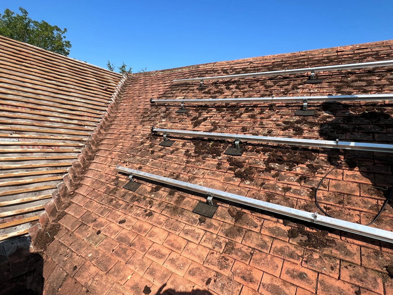 Moss removal in Wimbledon