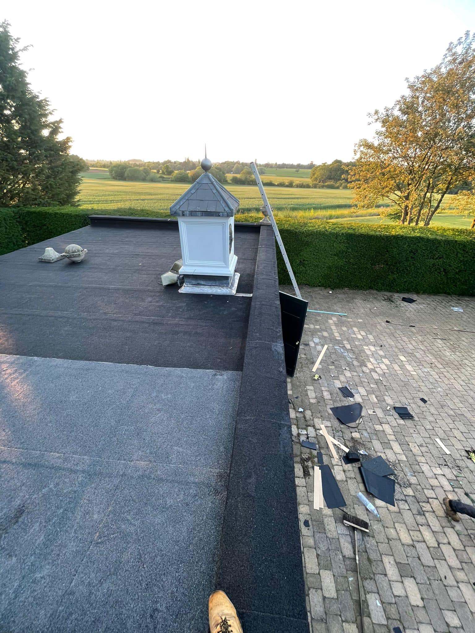 Moss removal in Wimbledon