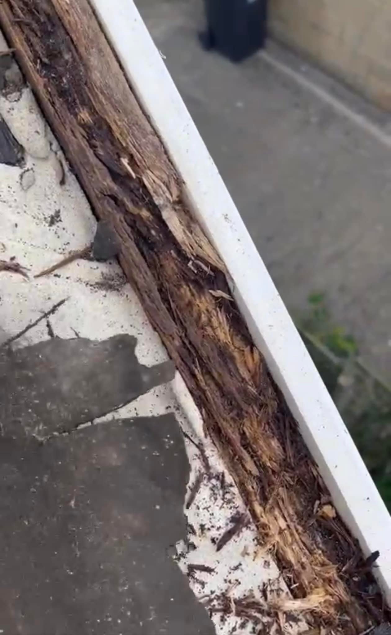 Lead flashing in Westminster