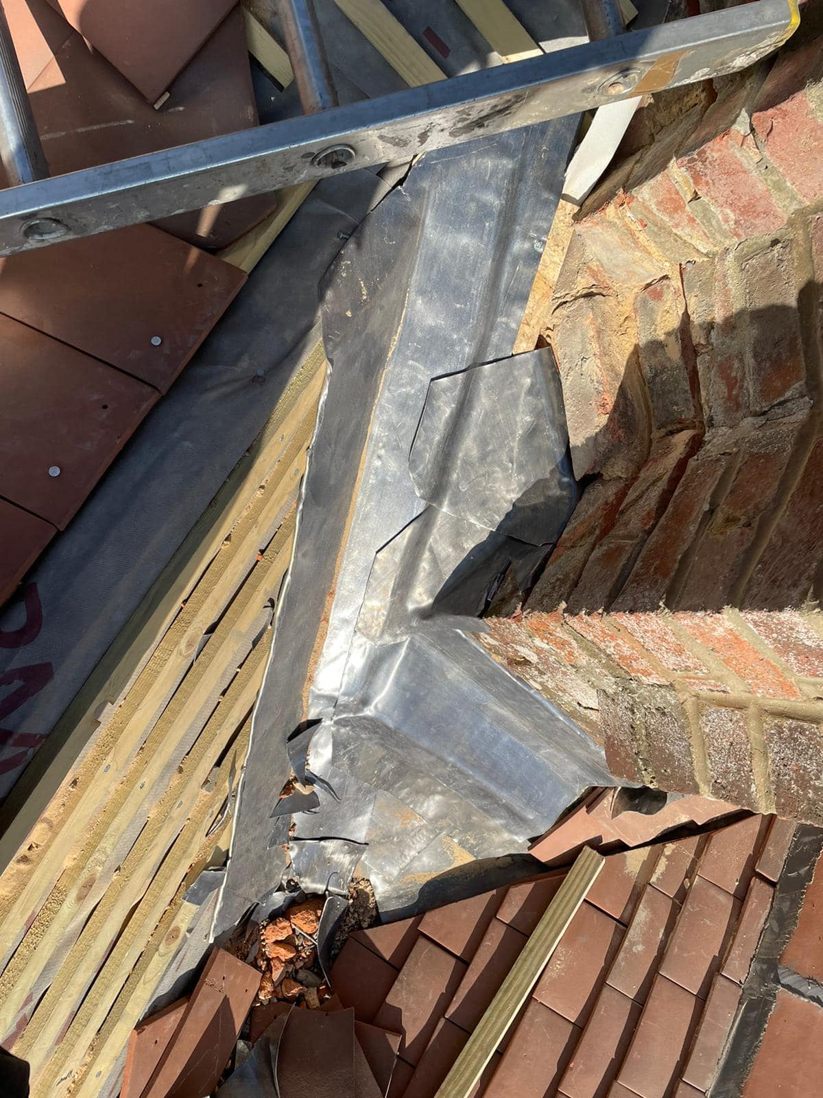 Moss removal in Wimbledon