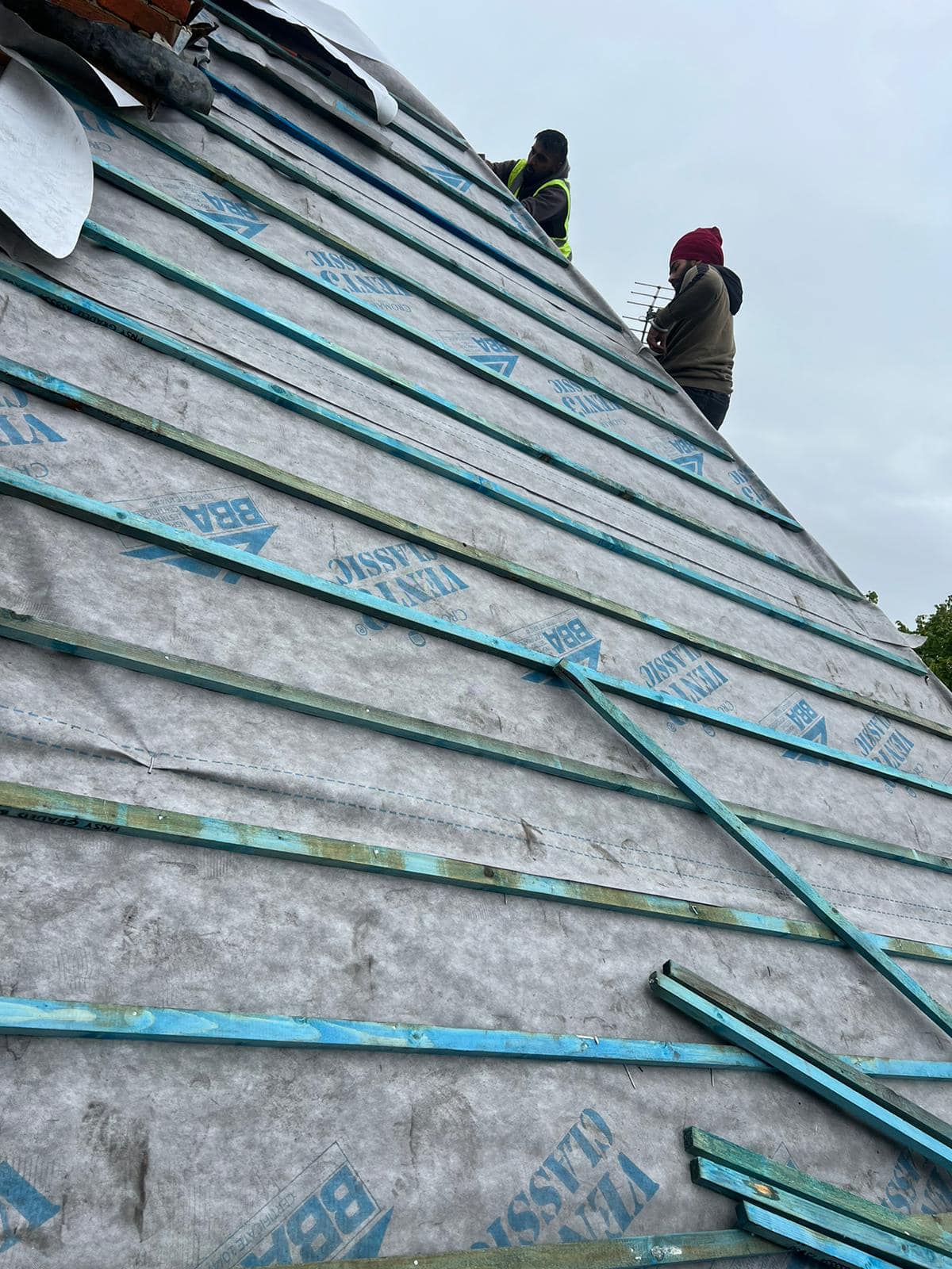 Roof survey in Kensington