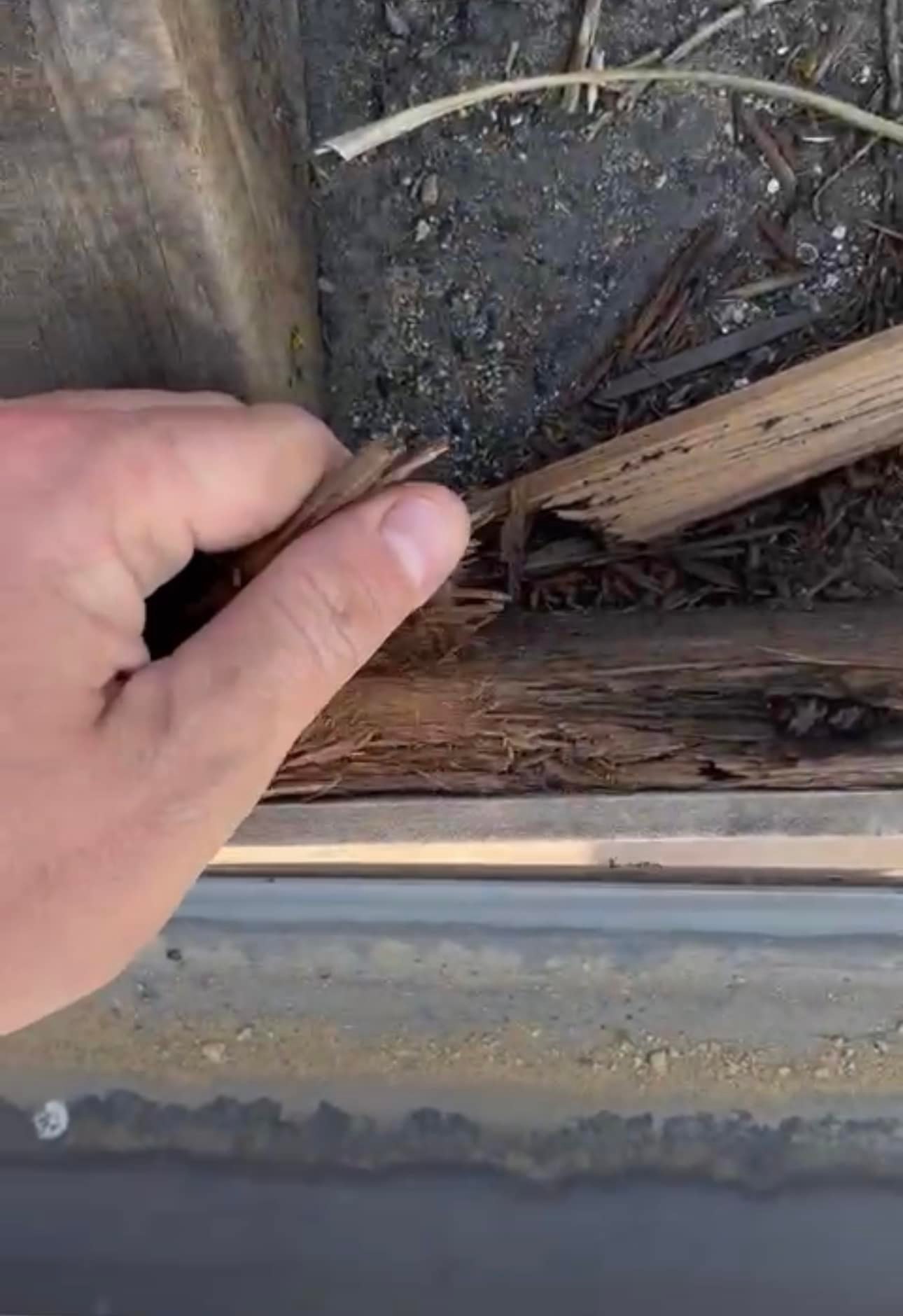 Commercial roof restoration in Canary Wharf