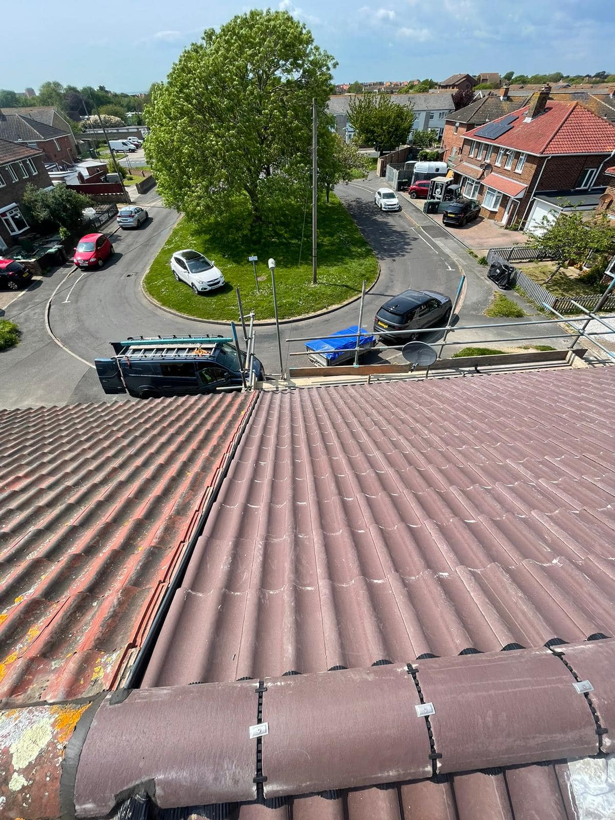 Moss removal in Wimbledon