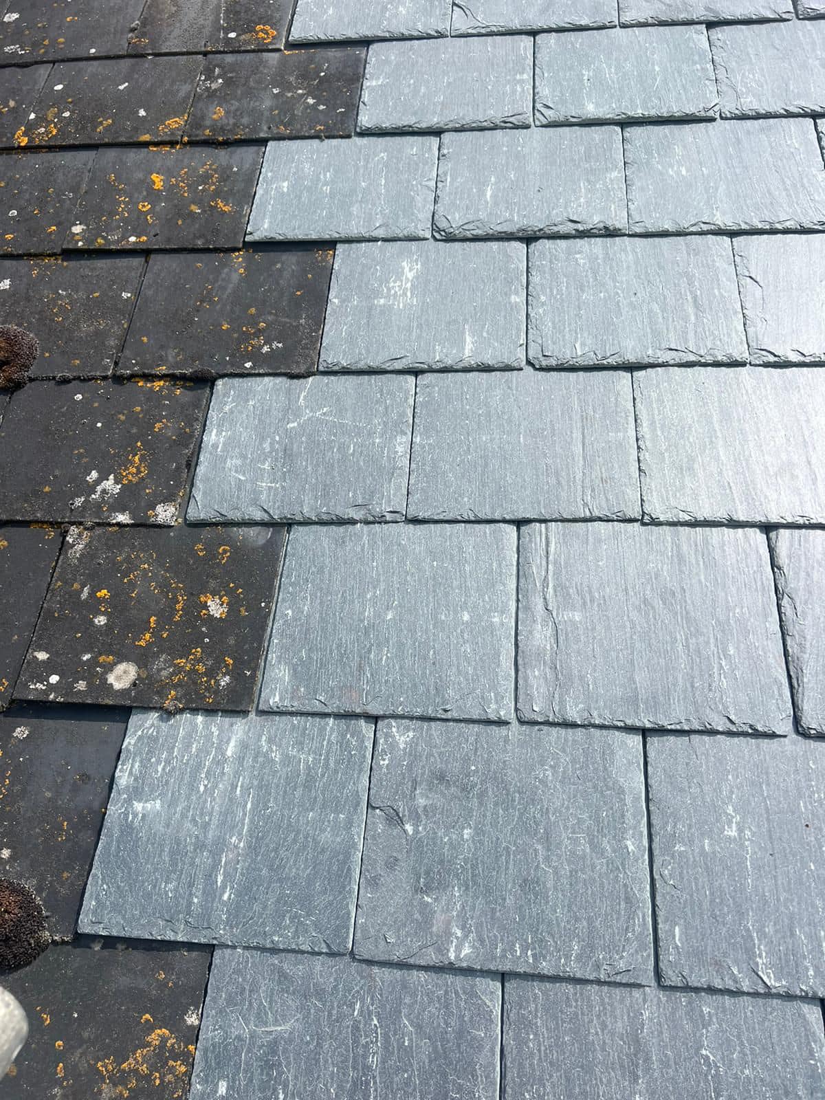 Moss removal in Wimbledon