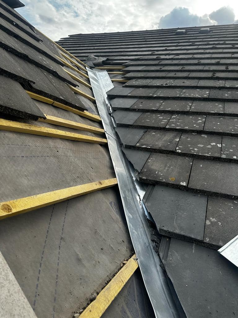 Moss removal in Wimbledon