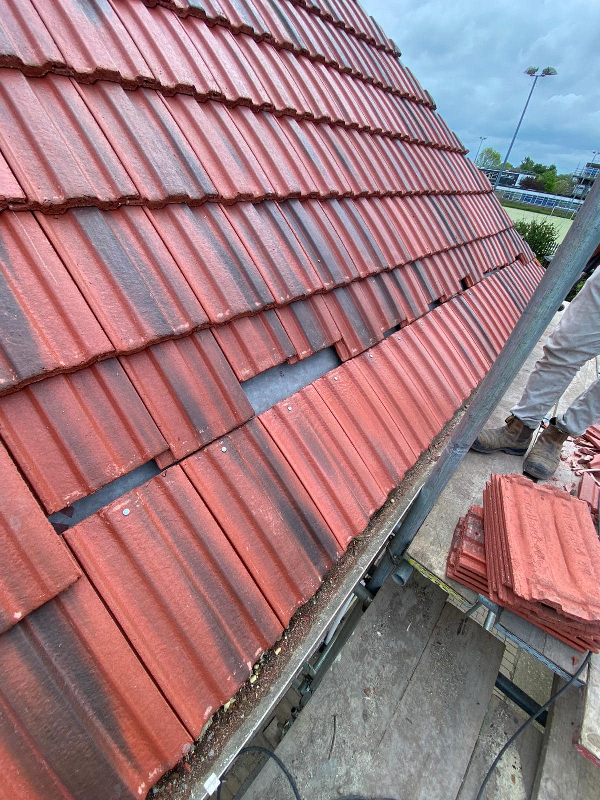 Moss removal in Wimbledon