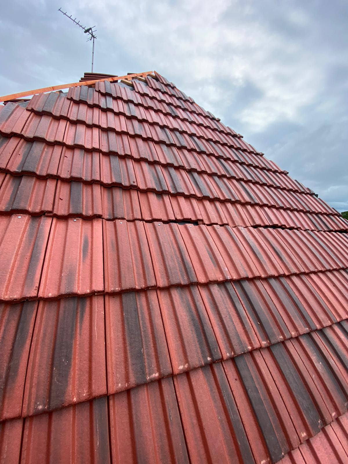 Storm damage repair in Battersea