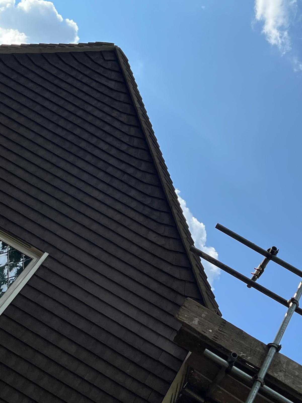 Moss removal in Wimbledon