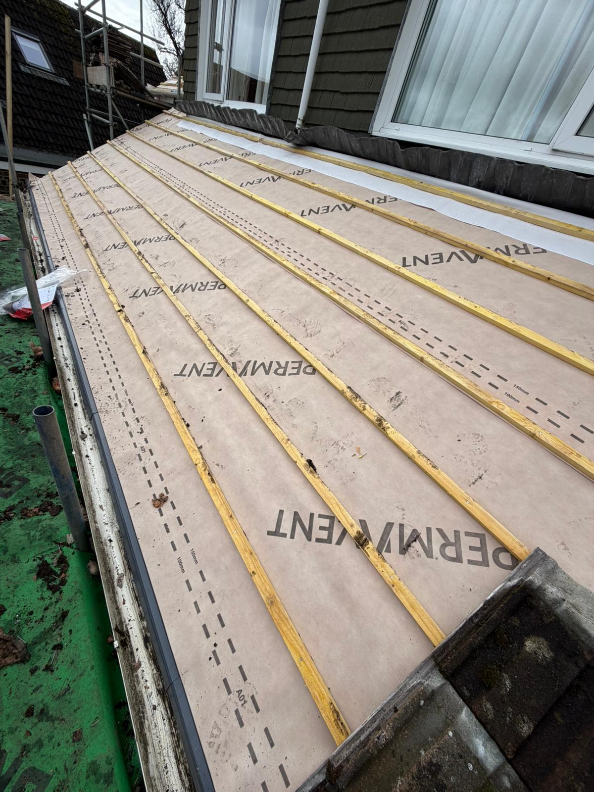 Roof survey in Kensington