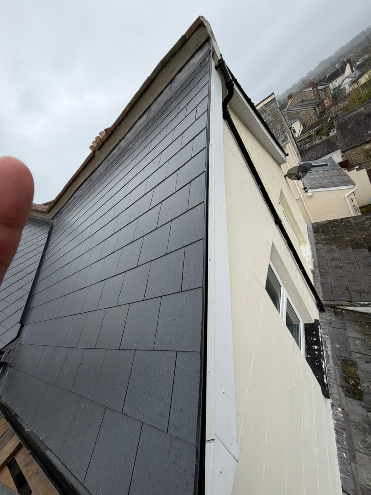 Moss removal in Wimbledon